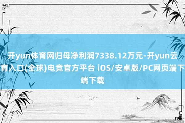 开yun体育网归母净利润7338.12万元-开yun云体育入口(全球)电竞官方平台 iOS/安卓版/PC网页端下载