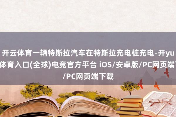 开云体育一辆特斯拉汽车在特斯拉充电桩充电-开yun云体育入口(全球)电竞官方平台 iOS/安卓版/PC网页端下载